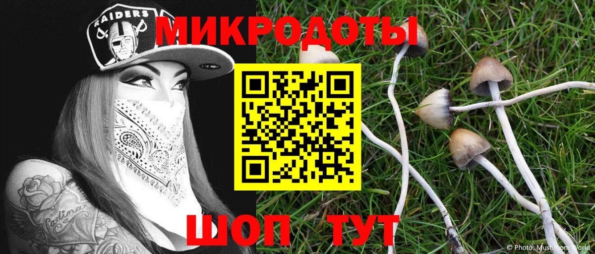 Галлюциногенные грибы MAGIC MUSHROOMS  Вход с VPN  Бахчисарай 