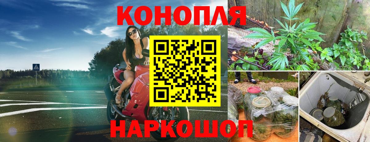 Конопля планчик  Вход с VPN  Бахчисарай  Конопля сатива 